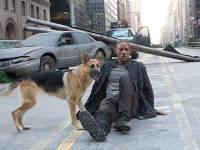 I-am-Legend-2007-News.jpg