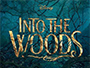Into-the-Woods-2014-Newslogo.jpg