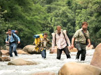 Jungle-2017-News-01.webp