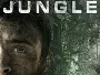 Jungle-2017-News.webp