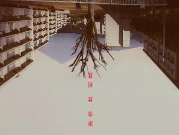 Kinki-Masarus-Fluch-Newslogo.webp