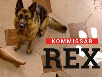 Kommissar_Rex_News.webp