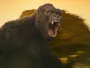 Kong-Newslogo.webp