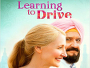 Learning-to-Drive-News.jpg