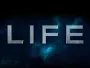 Life_Newslogo.webp
