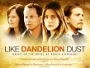 Like-Dandelion-Dust-News.webp