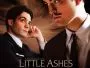 Little-Ashes-News.webp