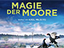 Magie-der-Moore.webp Magie-der-Moore.webp