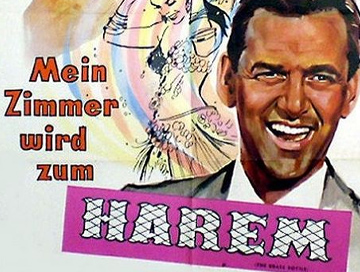 Mein_Zimmer_wird_zum_Harem_News.jpg