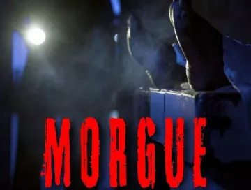 Morgue_Der_Tod_schlaeft_nicht_News.webp