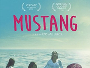 Mustang-2015-News.webp Mustang-2015-News.webp
