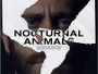 Nocturnal-Animals-News.jpg