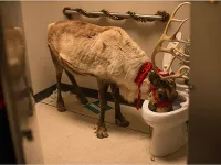 Office-Christmas-Party-News-02.webp
