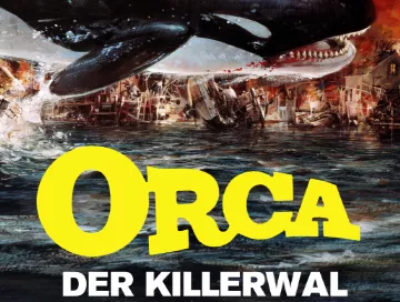 Orca_Der_Killerwal_News.webp Orca_Der_Killerwal_News.webp