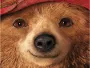 Paddington-News.webp Paddington-News.webp