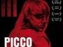 Picco-News.webp