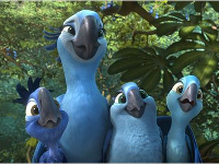 Rio-2-News-01.webp