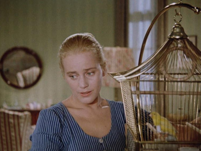 Rose_Bernd_1957_02.jpg