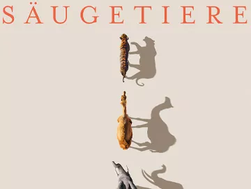 Saeugetiere_News.webp Saeugetiere_News.webp