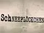Schneefloeckchen-News.webp