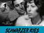 Schwarzer-Kies-News.webp
