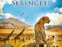 Serengeti-News.webp