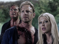 Sharknado-4-News-01.jpg