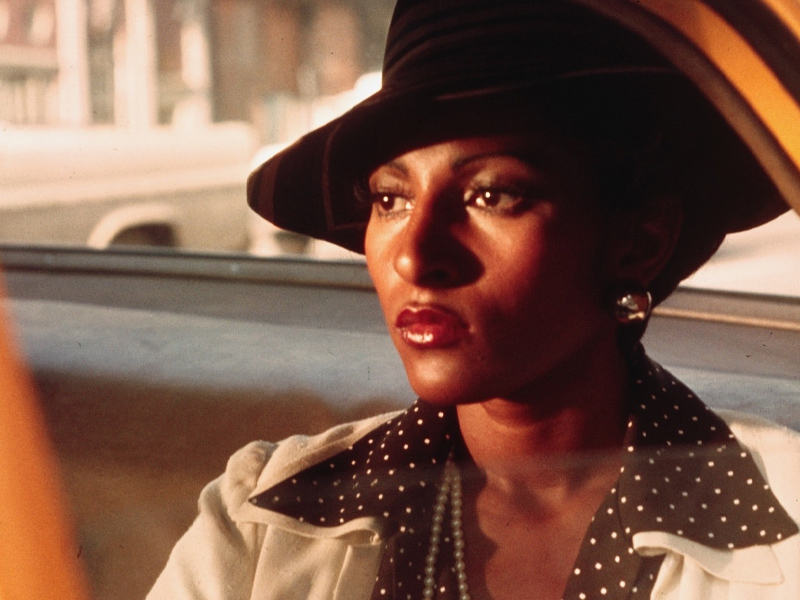 Sheba_Baby_01.jpg