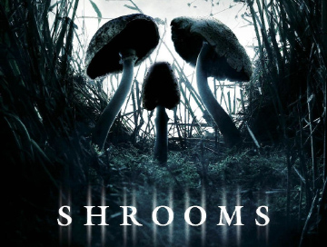 Shrooms_News.webp