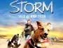 Storm-Sieger-auf-vier-Pfoten-News.webp