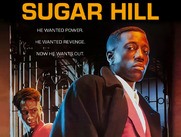 Sugar_Hill_1993_News.webp
