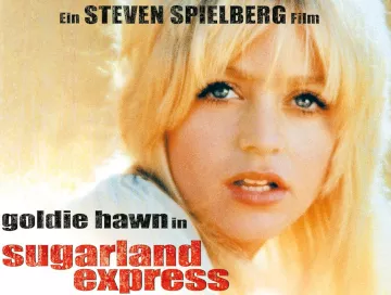 Sugarland-Express-Newslogo.webp