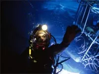 The-Abyss-News-01.webp