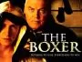 The-Boxer-2009-News.webp The-Boxer-2009-News.webp