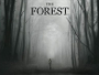 The-Forest-News.jpg