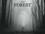 The-Forest-News.webp