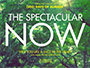The-Spectacular-Now-Newslogo.webp