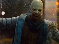 The-Strain-News-01.webp