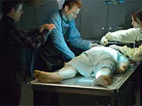 The-Strain-News-02.webp