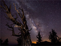 TimeScapes-News-01.webp