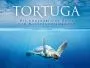 Tortuga-News.webp