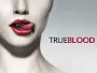 True-Blood-News.webp True-Blood-News.webp