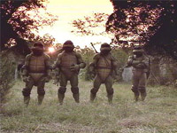 Turtles-News01.jpg