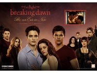 Twilight-Trilogie-News-02.jpg