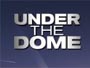 Under-the-Dome-Newslogo.jpg