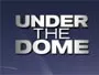 Under-the-Dome-Newslogo.webp