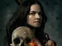 Van-Helsing-Serie-Newslogo.webp