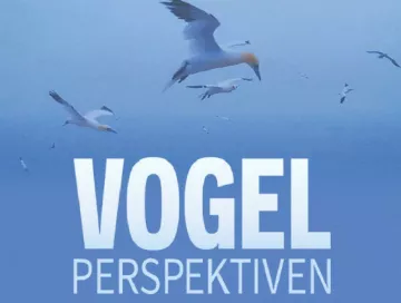 Vogelperspektiven_News.webp