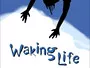 Waking-Life-News.webp