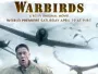 Warbirds-Newslogo.webp